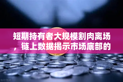 短期持有者大规模割肉离场，链上数据揭示市场底部的真实信号