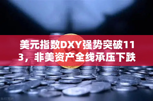 美元指数DXY强势突破113，非美资产全线承压下跌，全球投资者如何应对？