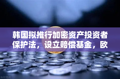韩国拟推行加密资产投资者保护法,设立赔偿基金,欧易交易所官网解读全球监管新趋势-第1张图片-欧易交易所 韩国拟推行加密资产投资者保护法,设立赔偿基金,欧易交易所官网解读全球监管新趋势-第1张图片-欧易交易所