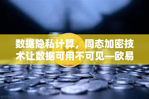 数据隐私计算，同态加密技术让数据可用不可见—欧易交易所官网深度解析