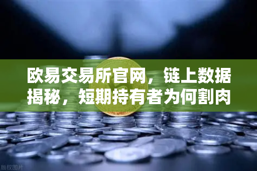 欧易交易所官网，链上数据揭秘，短期持有者为何割肉离场