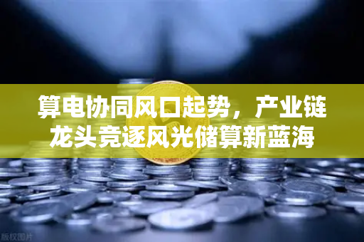 算电协同风口起势，产业链龙头竞逐风光储算新蓝海