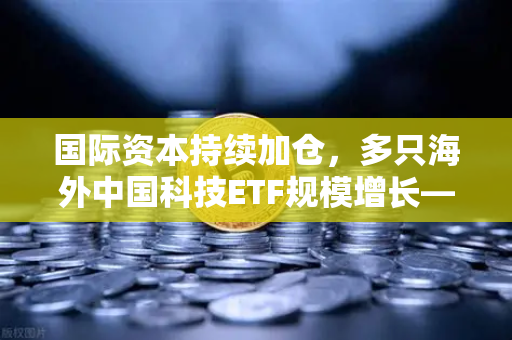 国际资本持续加仓，多只海外中国科技ETF规模增长—解析全球资本新动向