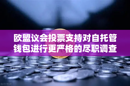 欧盟议会投票支持对自托管钱包进行更严格的尽职调查，加密行业迎来新变局