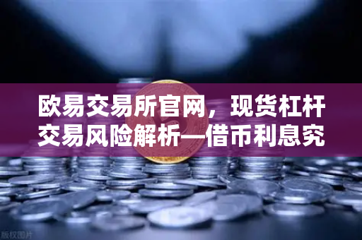 欧易交易所官网，现货杠杆交易风险解析—借币利息究竟怎么算？