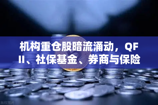 机构重仓股暗流涌动，QFII、社保基金、券商与保险资金为何集体加码涉币概念股？