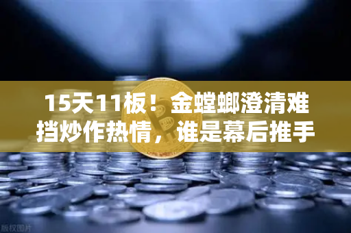 15天11板！金螳螂澄清难挡炒作热情，谁是幕后推手？游资手法全解析