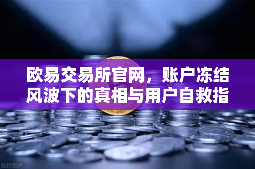 欧易交易所官网,账户冻结风波下的真相与用户自救指南-第1张图片-欧易交易所 欧易交易所官网,账户冻结风波下的真相与用户自救指南-第1张图片-欧易交易所