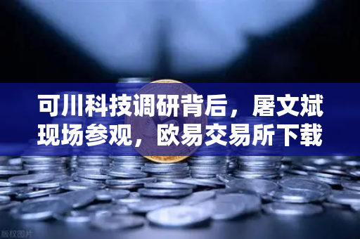 可川科技调研背后,屠文斌现场参观,欧易交易所下载热度飙升-第1张图片-欧易交易所 可川科技调研背后,屠文斌现场参观,欧易交易所下载热度飙升-第1张图片-欧易交易所