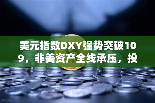 美元指数DXY强势突破109,非美资产全线承压,投资者如何应对市场变局?-第1张图片-欧易交易所 美元指数DXY强势突破109,非美资产全线承压,投资者如何应对市场变局?-第1张图片-欧易交易所