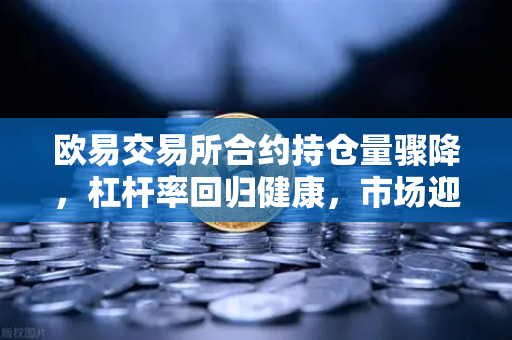 欧易交易所合约持仓量骤降,杠杆率回归健康,市场迎来理性重建期-第1张图片-欧易交易所 欧易交易所合约持仓量骤降,杠杆率回归健康,市场迎来理性重建期-第1张图片-欧易交易所
