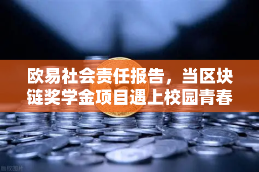 欧易社会责任报告，当区块链奖学金项目遇上校园青春，技术梦想如何被点亮？-第1张图片-欧易交易所
