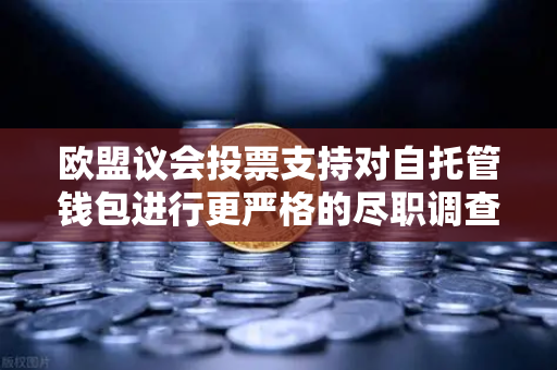 欧盟议会投票支持对自托管钱包进行更严格的尽职调查,加密监管新变局-第1张图片-欧易交易所 欧盟议会投票支持对自托管钱包进行更严格的尽职调查,加密监管新变局-第1张图片-欧易交易所