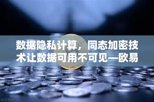 数据隐私计算，同态加密技术让数据可用不可见—欧易交易所的技术革新之路