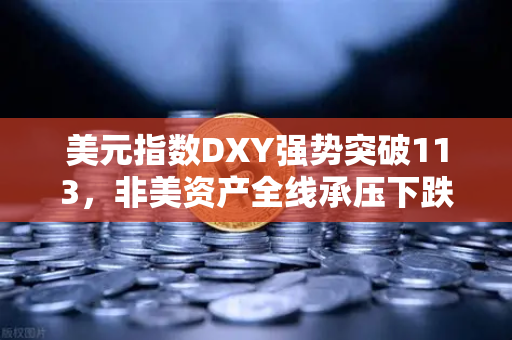 美元指数DXY强势突破113，非美资产全线承压下跌，投资者如何应对市场巨震？