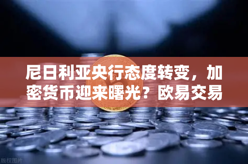 尼日利亚央行态度转变,加密货币迎来曙光?欧易交易所用户需关注-第1张图片-欧易交易所 尼日利亚央行态度转变,加密货币迎来曙光?欧易交易所用户需关注-第1张图片-欧易交易所