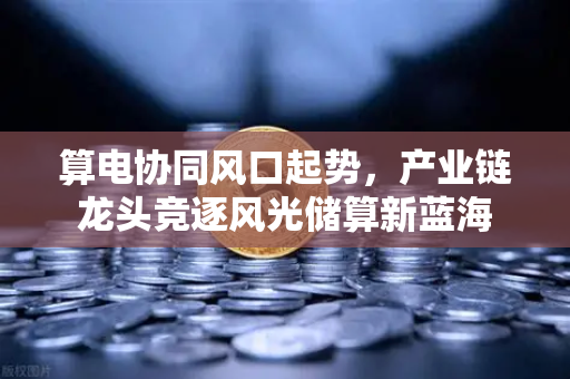 算电协同风口起势，产业链龙头竞逐风光储算新蓝海