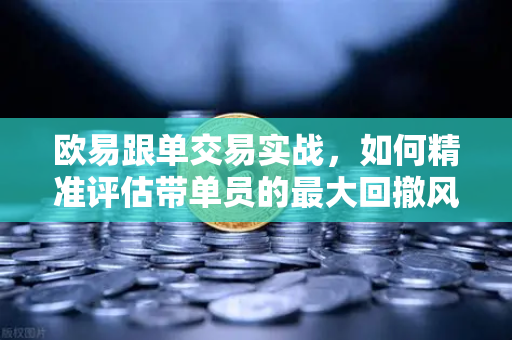 欧易跟单交易实战，如何精准评估带单员的最大回撤风险？