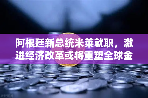 阿根廷新总统米莱就职，激进经济改革或将重塑全球金融市场格局