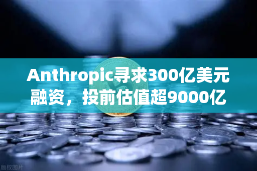 Anthropic寻求300亿美元融资，投前估值超9000亿，AI泡沫还是新起点？