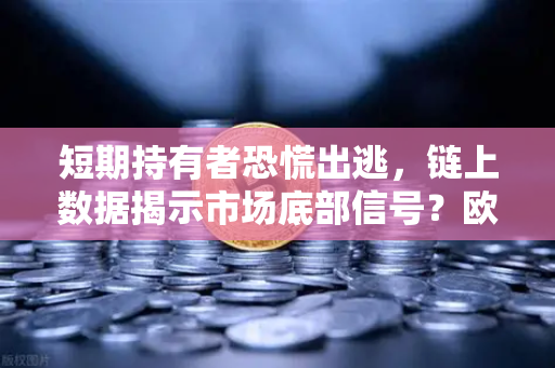 短期持有者恐慌出逃,链上数据揭示市场底部信号?欧易交易所深度解读-第1张图片-欧易交易所 短期持有者恐慌出逃,链上数据揭示市场底部信号?欧易交易所深度解读-第1张图片-欧易交易所