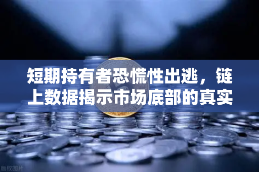 短期持有者恐慌性出逃，链上数据揭示市场底部的真实信号-第1张图片-欧易交易所