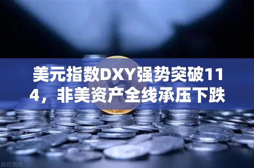 美元指数DXY强势突破114，非美资产全线承压下跌，欧易交易所官网深度解析-第1张图片-欧易交易所