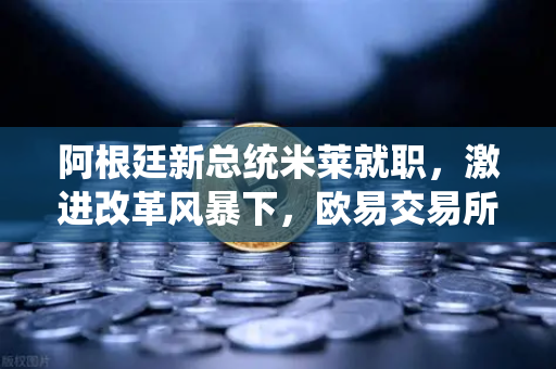 阿根廷新总统米莱就职，激进改革风暴下，欧易交易所如何成为避险港湾？