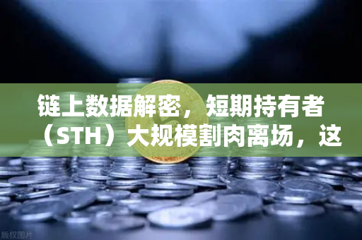 链上数据解密，短期持有者（STH）大规模割肉离场，这是抄底信号吗？-第1张图片-欧易交易所