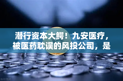 潜行资本大鳄！九安医疗，被医药耽误的风投公司，是否已布局加密赛道？