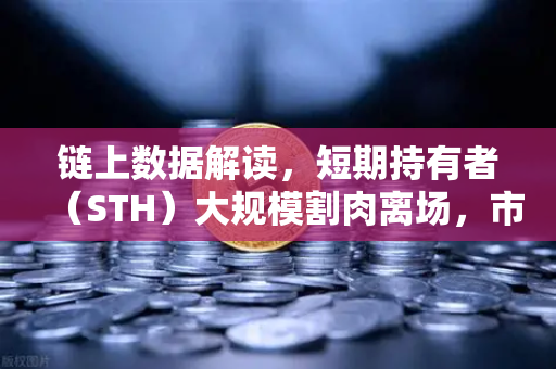 链上数据解读，短期持有者（STH）大规模割肉离场，市场底在何方？